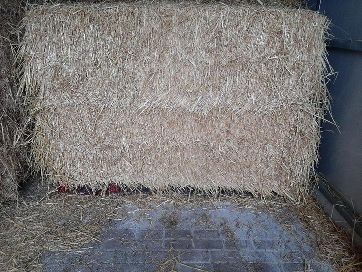 hooi / stro geleverd, Animaux & Accessoires, Nourriture pour Animaux, Bétail, Enlèvement ou Envoi