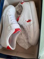 Neuf. sneakers iconiques R. LAUREN  PA €95,00 *VENDU*, Autres types, Garçon ou Fille, Polo Ralph Lauren, Envoi