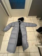 Dickies lange winterjas XS, Kleding | Dames, Jassen | Winter, Ophalen