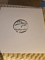 WHITE LABEL THE MACKENZIE DISTORZION, Cd's en Dvd's, Vinyl | Dance en House, Ophalen of Verzenden, Zo goed als nieuw