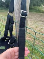 Graas halster, Dieren en Toebehoren, Ophalen