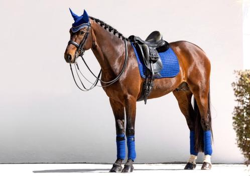 LeMieux Suede dressuur dekje Benetton Blue SALE -30%!, Dieren en Toebehoren, Paarden en Pony's | Dekens en Dekjes, Nieuw, Dekje