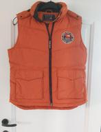 Bodywarmer River Woods maat 16 jaar, Enfants & Bébés, Vêtements enfant | Taille 176, Garçon ou Fille, River Woods, Enlèvement ou Envoi