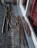 Gratis snoeihout (hazelaar) voor haard/kachel/vuurkorf, Minder dan 3 m³, Ophalen, Overige houtsoorten, Takken