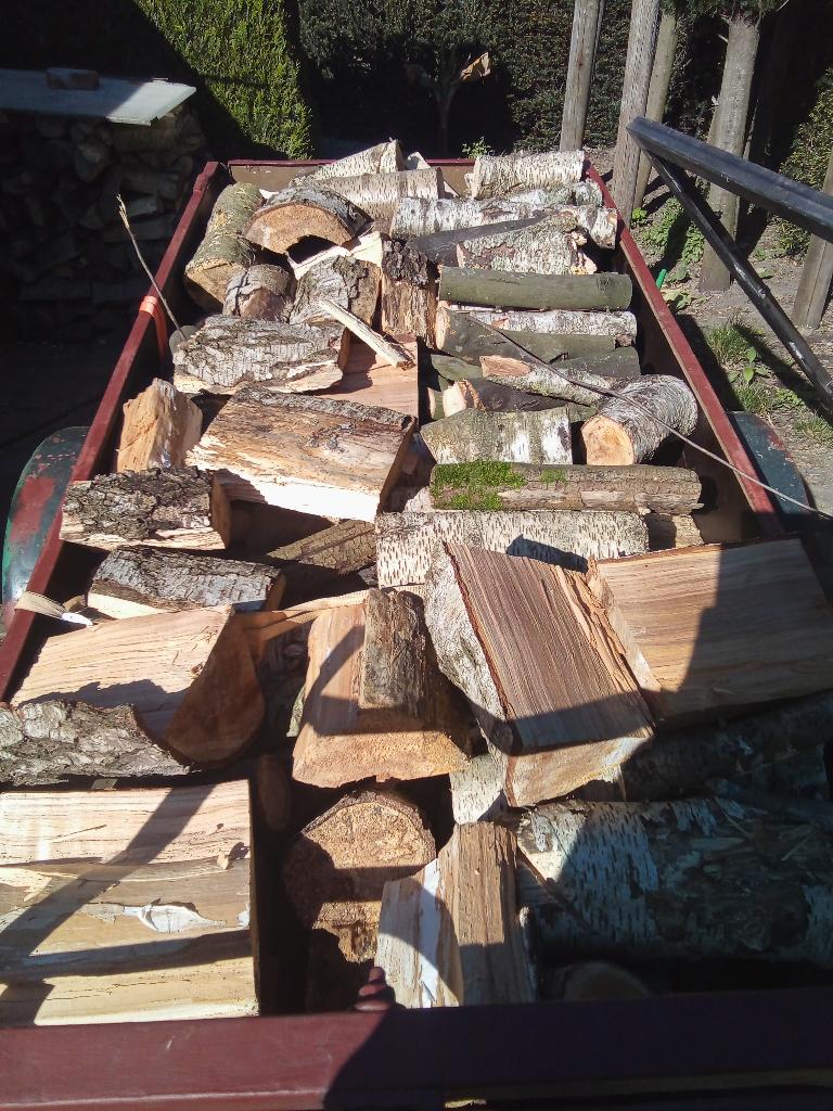 brandhout, Jardin & Terrasse, Bois de chauffage, Moins de 3 m³, Enlèvement, Bûches