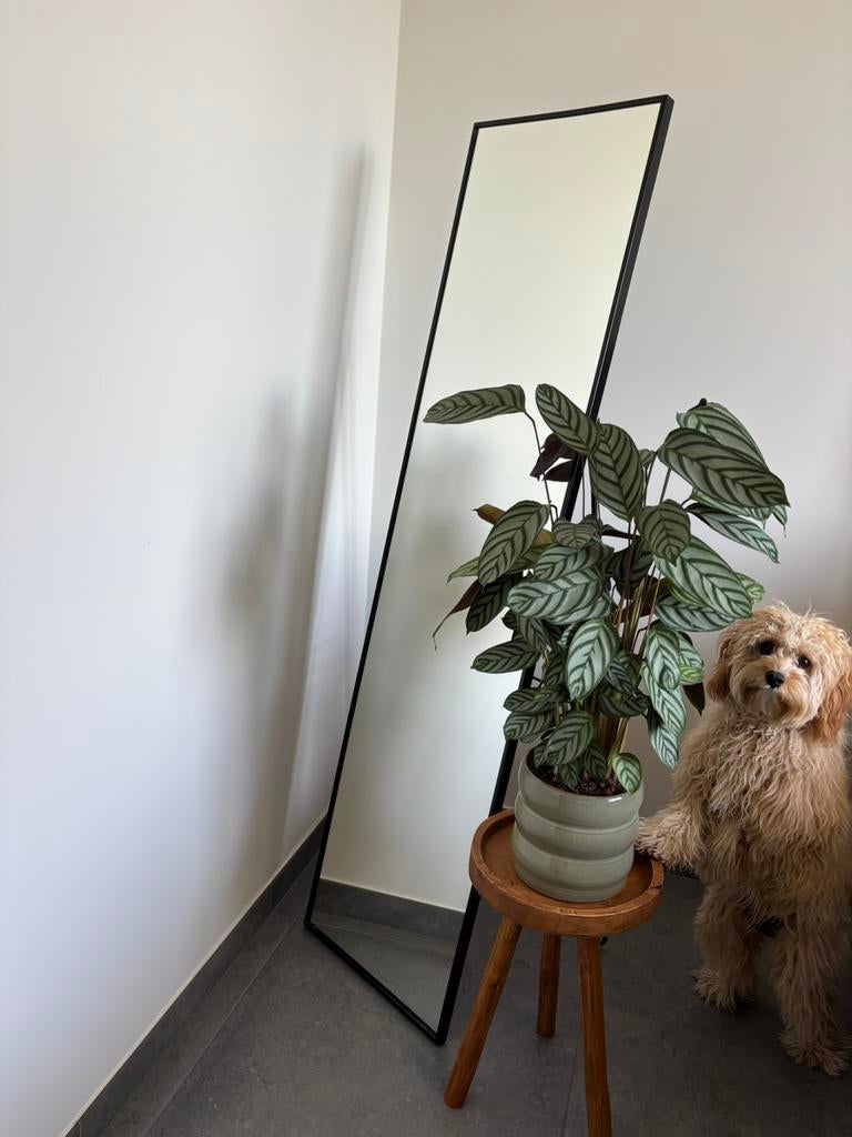 Mooie grote metalen spiegel, Enlèvement, Comme neuf