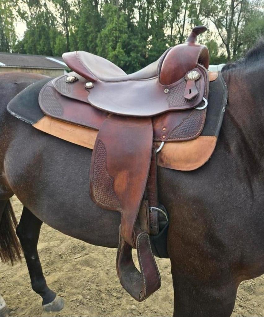 Continental FQ reiningzadel, Dieren en Toebehoren, Ophalen, Zo goed als nieuw, Western