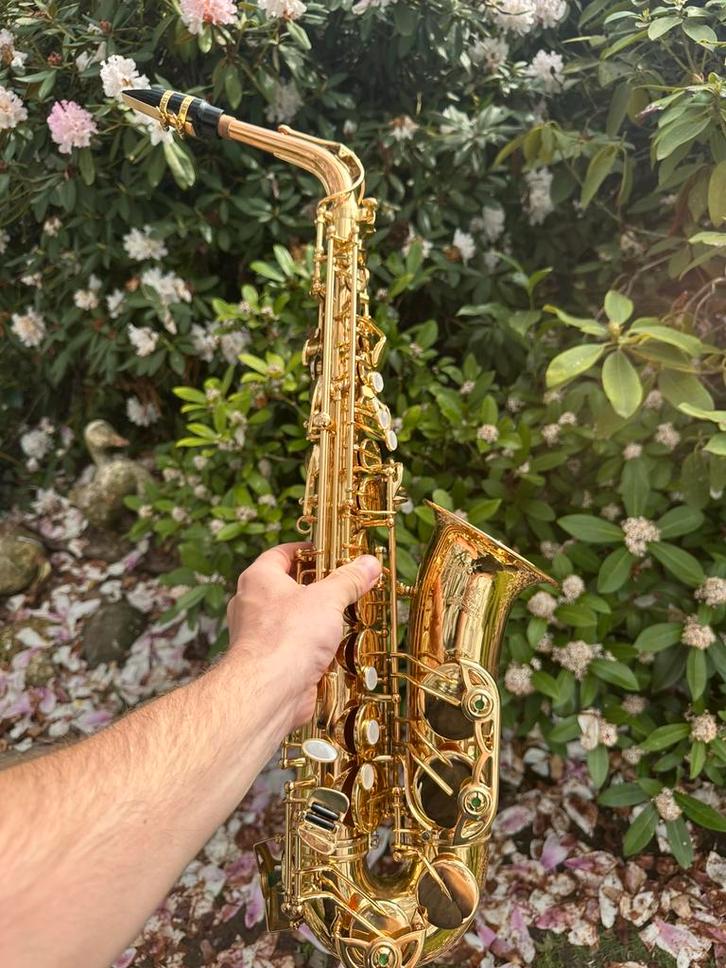 NewYorkSymphonic Alt saxofoon, Musique & Instruments, Instruments à vent | Saxophones, Comme neuf, Alto, Enlèvement