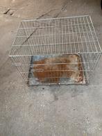 Hondenbench, Dieren en Toebehoren, Hondenhokken, Ophalen, Hondenkennel, Gebruikt, 65 tot 100 cm