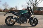 Benelli Leoncino 800, Bedrijf, 800 cc, ABS, Naked bike