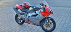 Aprilia rvs 1000 2004, Particulier