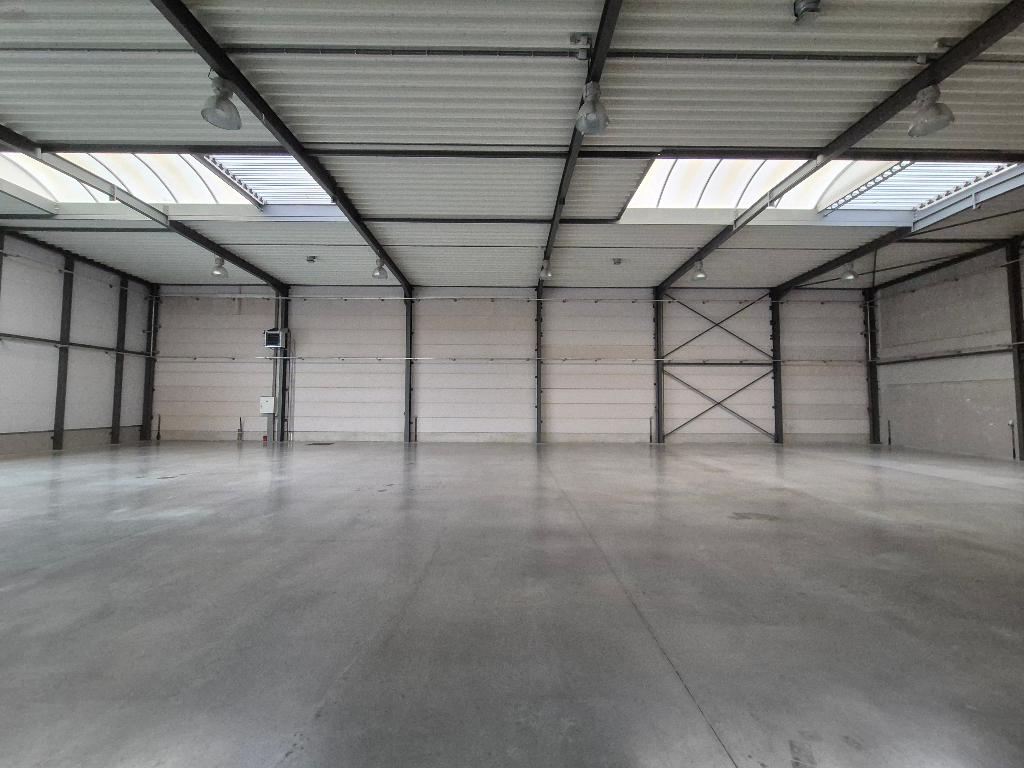 Industriële verlichting, Enlèvement, Comme neuf, Lampe