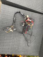 Kableboom dax, Enlèvement