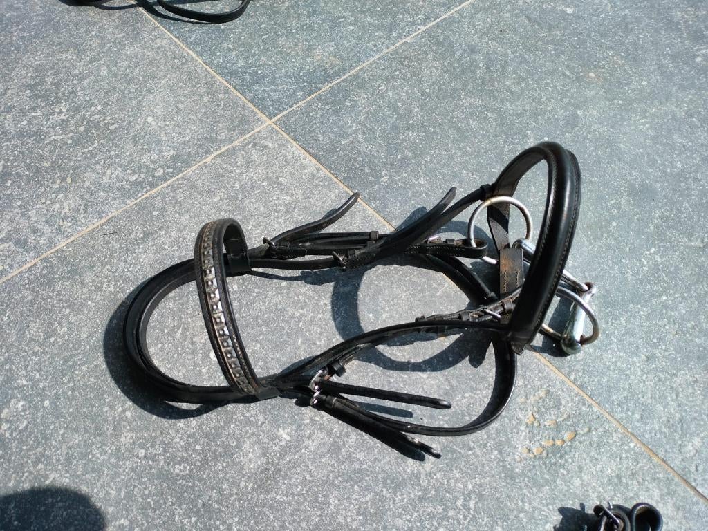 Kopstuk / hoofdstel voor shetlander of kleine pony, Dieren en Toebehoren, Ophalen, Gebruikt