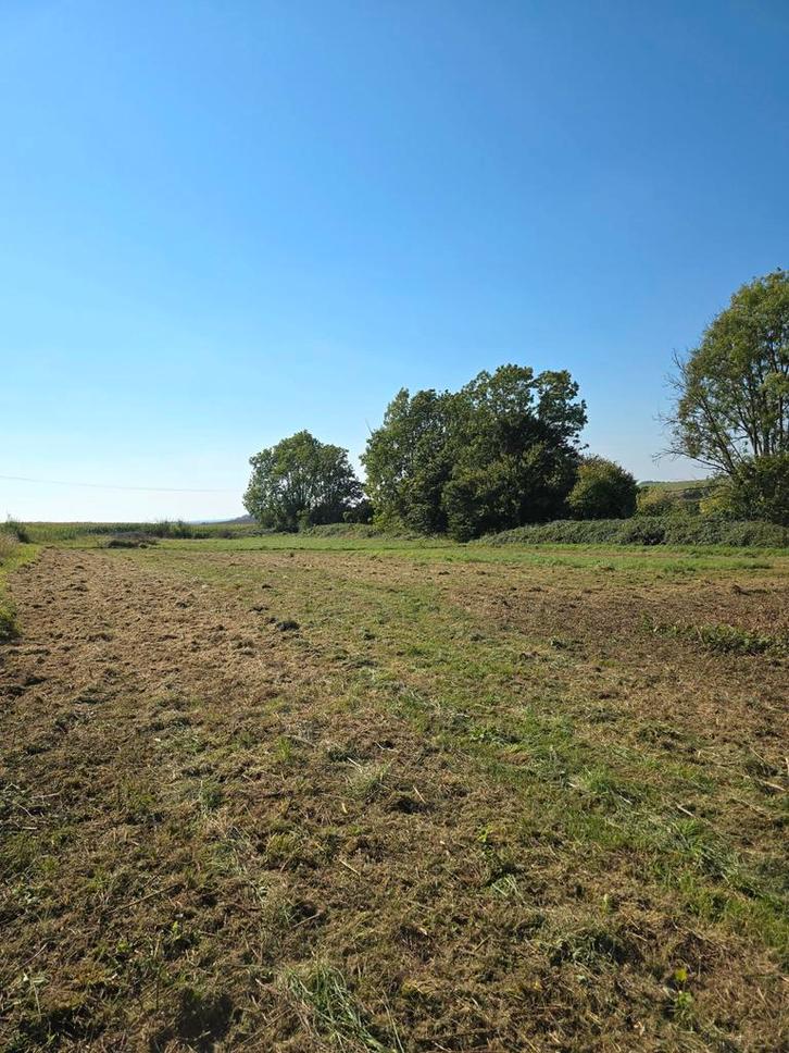 Terrain à bâtir 4752m2, Immo, Terrains & Terrains à bâtir, 1500 m² ou plus, Ventes sans courtier