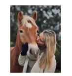 Halvestal/ verzorgpaard aangeboden, Animaux & Accessoires, Chevaux, Hongre, Débourré, Moins de 160 cm, Cheval de récréation