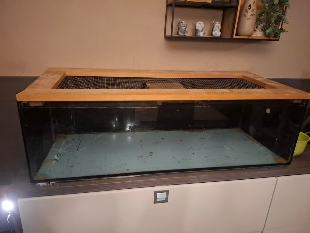 Hamster of cavia kooi, Ophalen