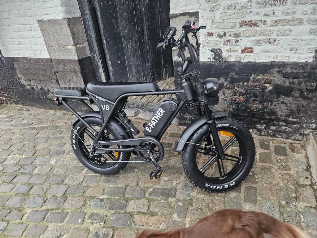 Fatbike, Enlèvement ou Envoi, Utilisé, Autres marques