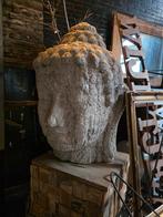 Polysters Boudha, Enlèvement