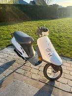 Honda Vision Classe B, Autres modèles, 1 vitesses, 49 cm³, Classe B (45 km/h)