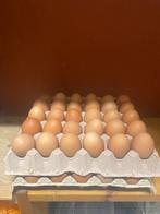 Verse biologische eieren, Diversen, Levensmiddelen, Ophalen