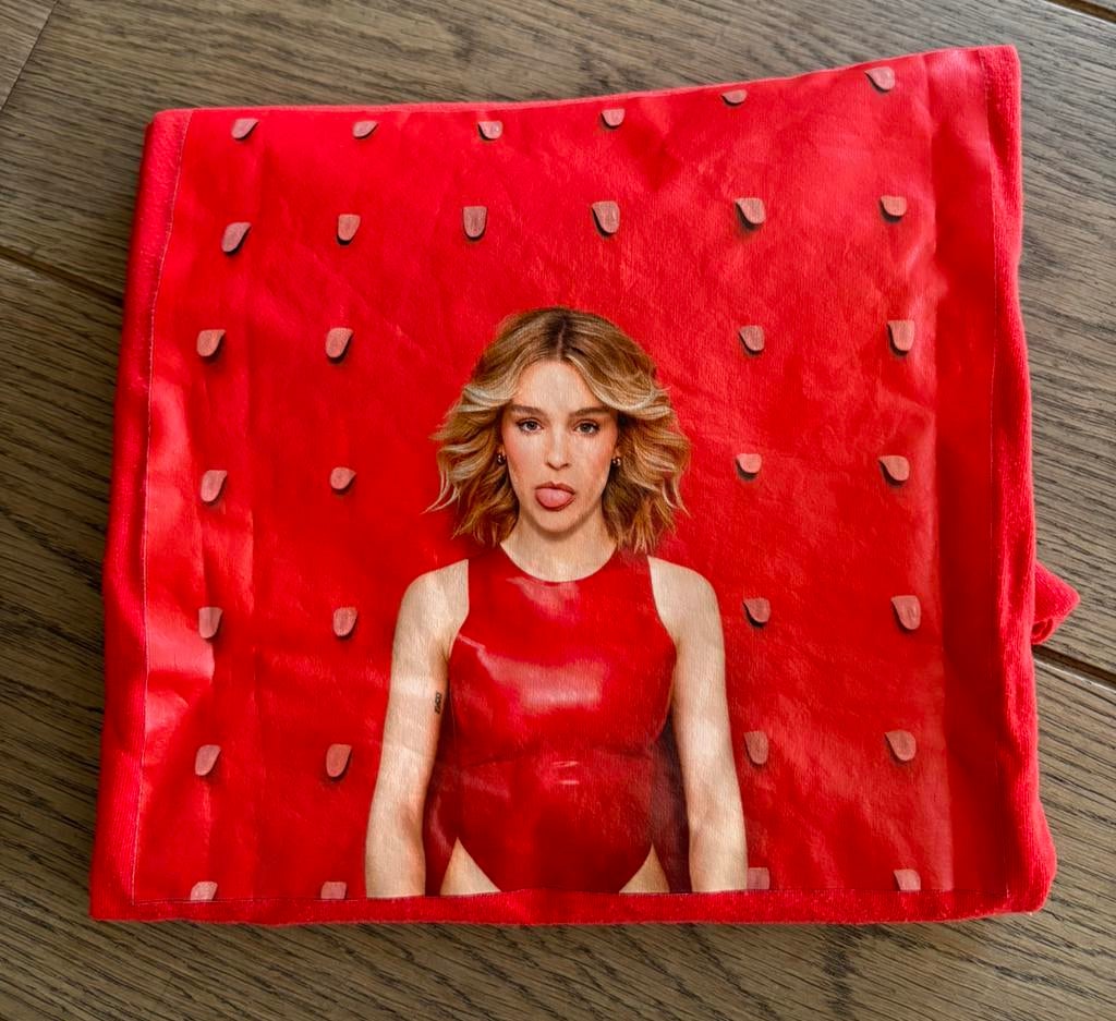 T-shirt meisjes Pommelien Thijs maat 164, Ophalen of Verzenden, Gebruikt, Meisje, Shirt of Longsleeve