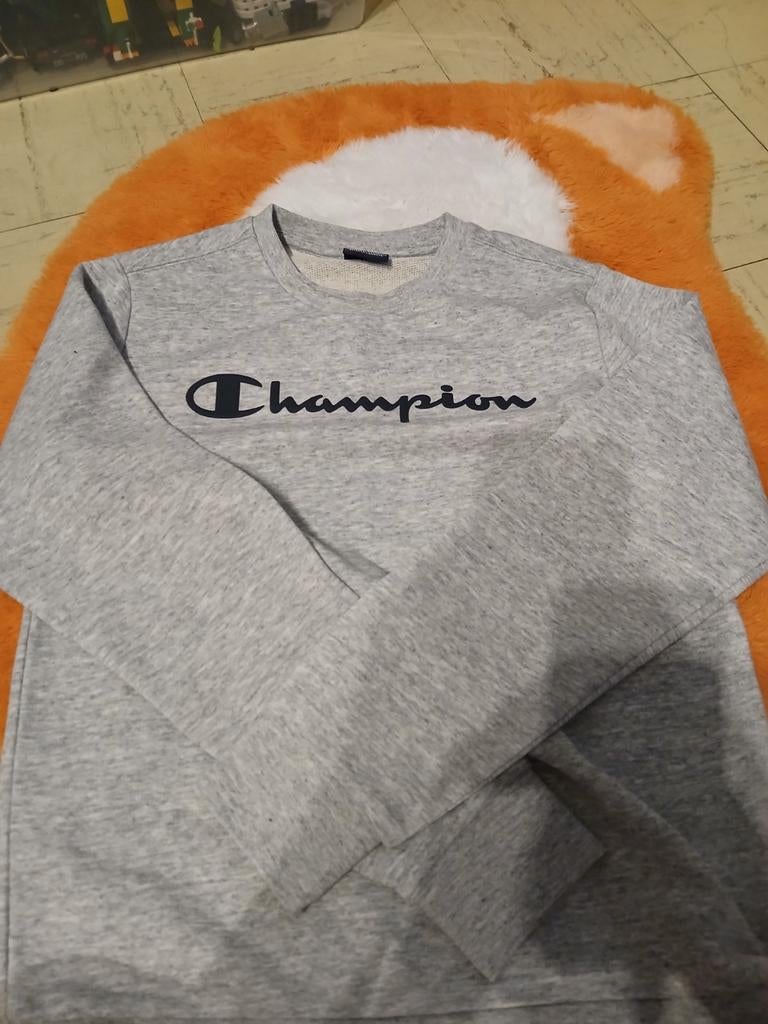 2 truien van (champion), Kleding | Heren, T-shirts, Ophalen