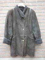 Echte Daim Lederen Jas met Teddy, Kleding | Dames, Ophalen of Verzenden, Zo goed als nieuw, Maat 42/44 (L), Grijs