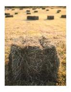 Petirs ballots de foin, Articles professionnels, Enlèvement