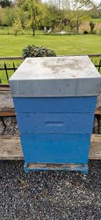 Ruche Dadant complète 12 cadres, Animaux & Accessoires, Enlèvement, Utilisé