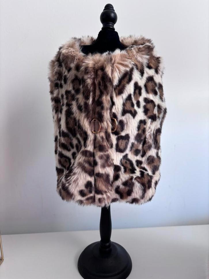 Harnais/veste Mon Bonbon, Animaux & Accessoires, Accessoires pour chiens, Neuf, Enlèvement