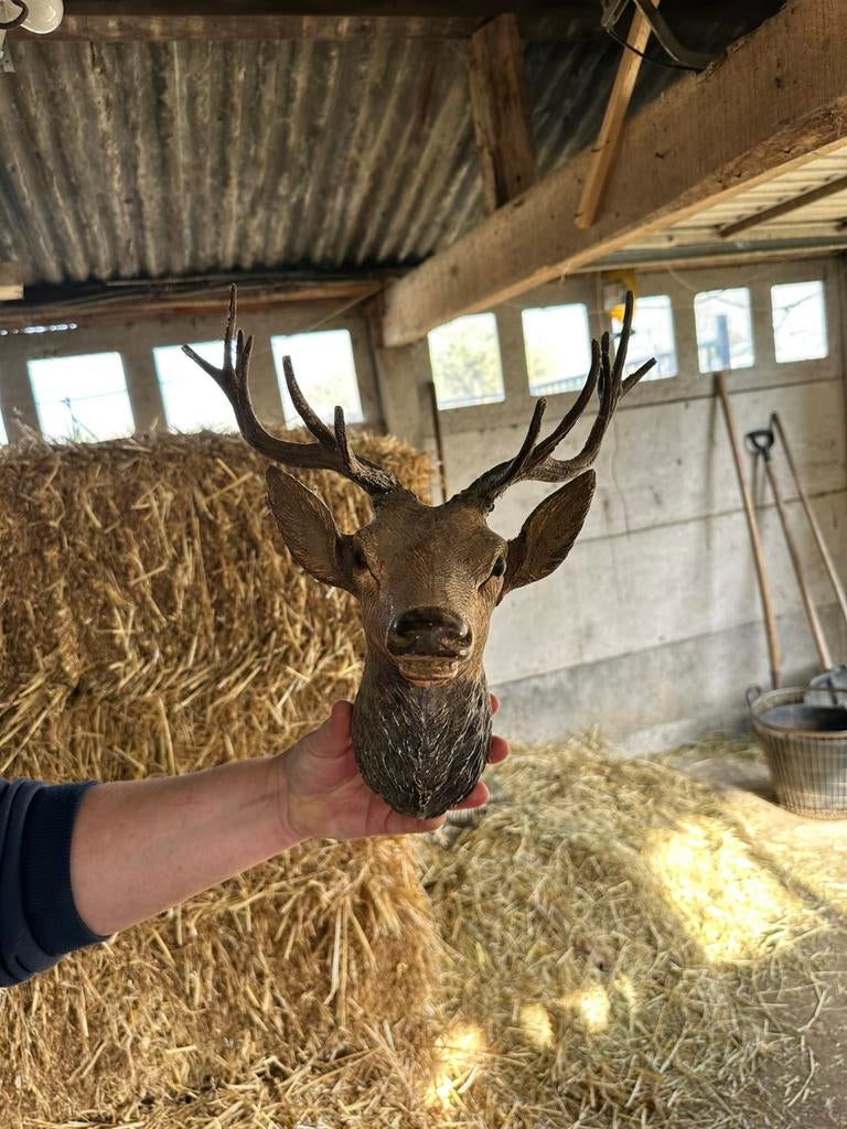 GRATIS Plastiek hertenhoofd, Ophalen