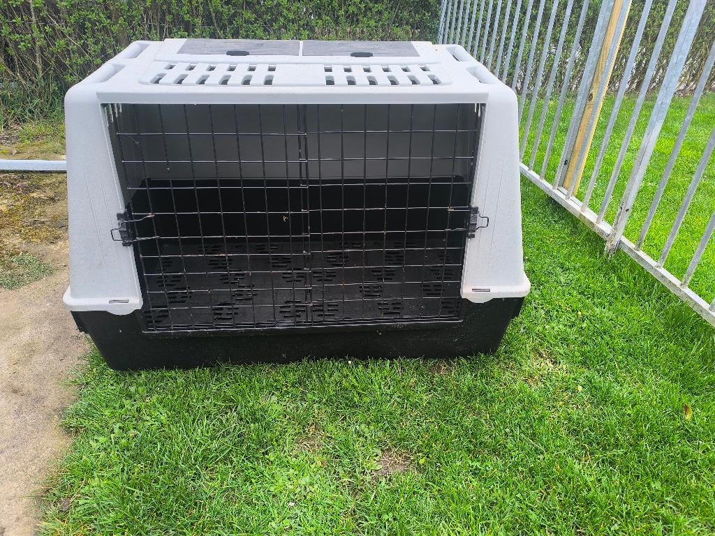 Cage de repos ou de transport pour chien, Enlèvement, Utilisé