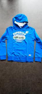 hoodie Vingino maat 176, Kinderen en Baby's, Kinderkleding | Maat 176, Trui of Vest, Ophalen of Verzenden, Zo goed als nieuw, Vingino