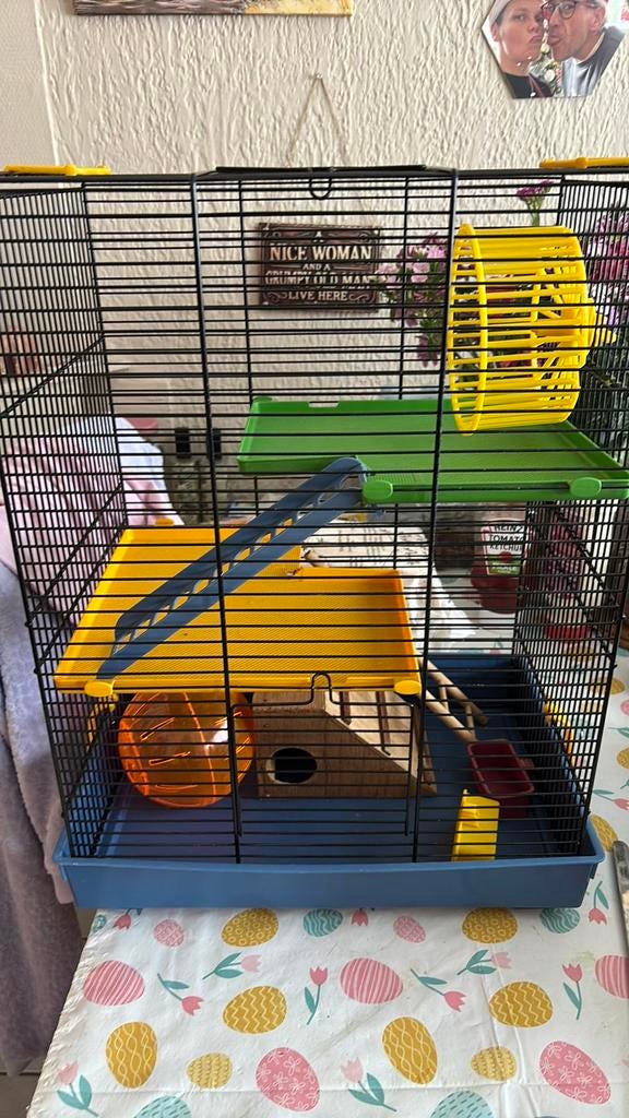 Hamster of muizen kooi, Dieren en Toebehoren, Ophalen, Zo goed als nieuw, Kooi, Hamster