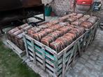 700 Boomse pannen + 22 nokken, Doe-het-zelf en Bouw, Dakpannen en Dakbedekking, Ophalen, Gebruikt