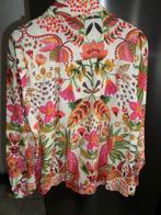 BLOUS, Vêtements | Femmes, Blouses & Tuniques, E5-mode, Autres couleurs, Enlèvement, Taille 42/44 (L)