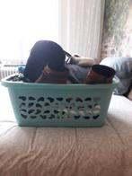 Manne vêtements, Vêtements | Femmes, Enlèvement, Comme neuf