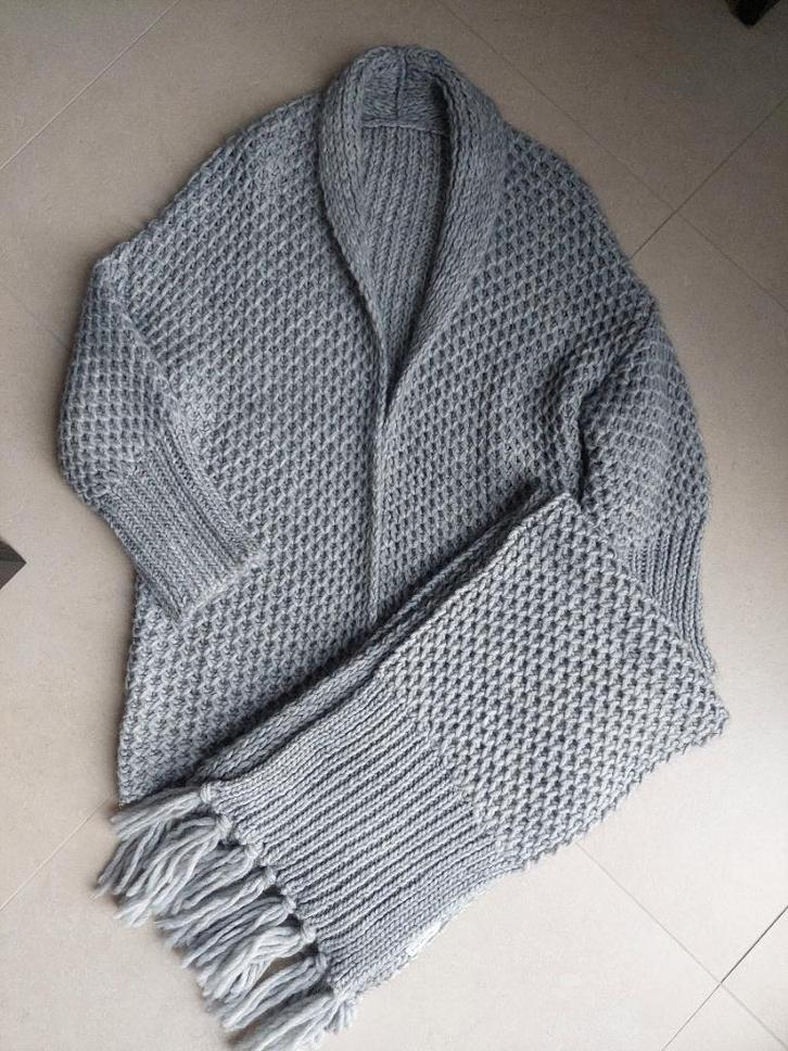 Nieuwe gebreide vest en sjaal van Hampton Bays (40), Vêtements | Femmes, Pulls & Gilets, Neuf, Taille 38/40 (M), Gris, Enlèvement