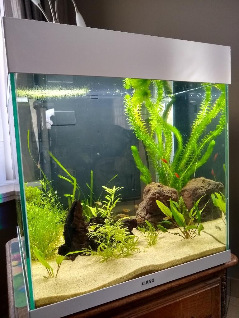 Ciano aquarium (new), Animaux & Accessoires, Enlèvement, Chauffage, Neuf