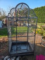 Cage perroquet, Animaux & Accessoires, Oiseaux | Cages & Volières, Enlèvement