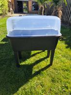 Mini serres te koop 1x gebruikt.  9 stuks (1 seizoen gebr), Ophalen, Overige materialen, Kweekkas, Zo goed als nieuw