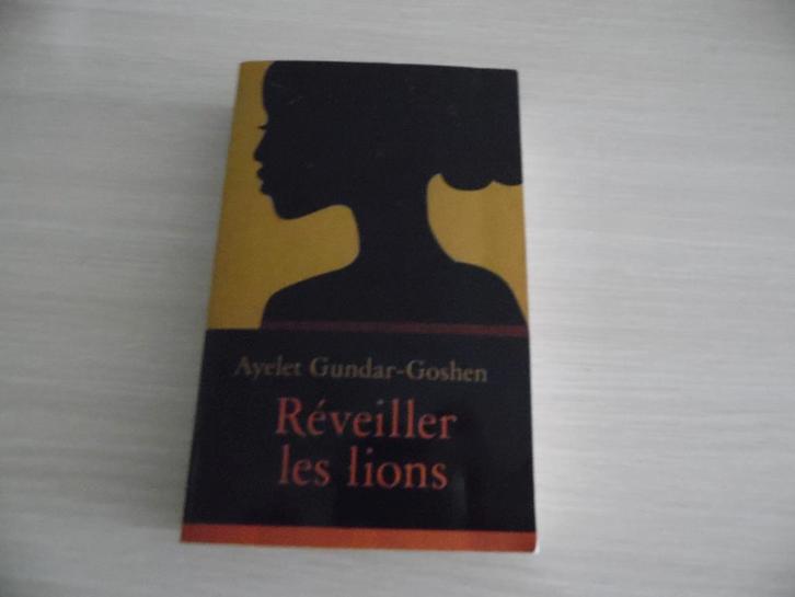 RÉVEILLER LES LIONS       AYELET GUNDAR-GOSHEN, Livres, Romans, Comme neuf, Reste du monde, Enlèvement ou Envoi