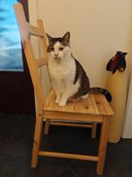 Chaise IKEA x4 IVARStuhl Kiefer, Brun, Enlèvement, Utilisé, Bois