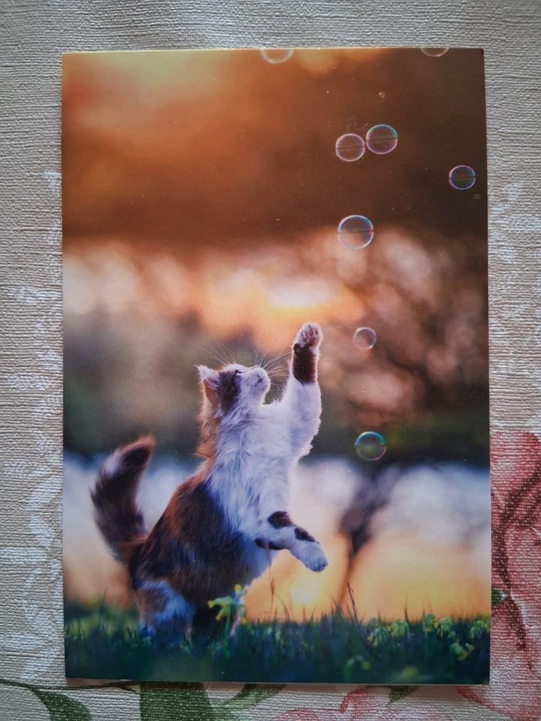 Postkaart poes, Collections, Cartes postales | Animaux, Enlèvement ou Envoi