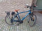 Elektrische herenfiets, Fietsen en Brommers, Elektrische fietsen, Ophalen