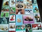 Cartes postales  sur le thème des chiens de toute race (42), Chien ou Chat, 1980 à nos jours, Enlèvement ou Envoi