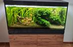 Aquarium, Dieren en Toebehoren, Ophalen, Zo goed als nieuw, Gevuld zoetwateraquarium