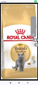 Britse korthaar adult+ Grote kattenbak en nog accessoires, Dieren en Toebehoren, Katten-accessoires, Gebruikt, Ophalen
