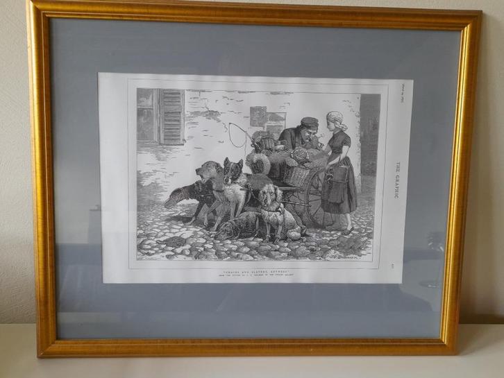 Hondenkar Chains and Slavery,  Antwerp  - ingekaderd, Verzamelen, Foto's en Prenten, Prent, Dier, Ophalen